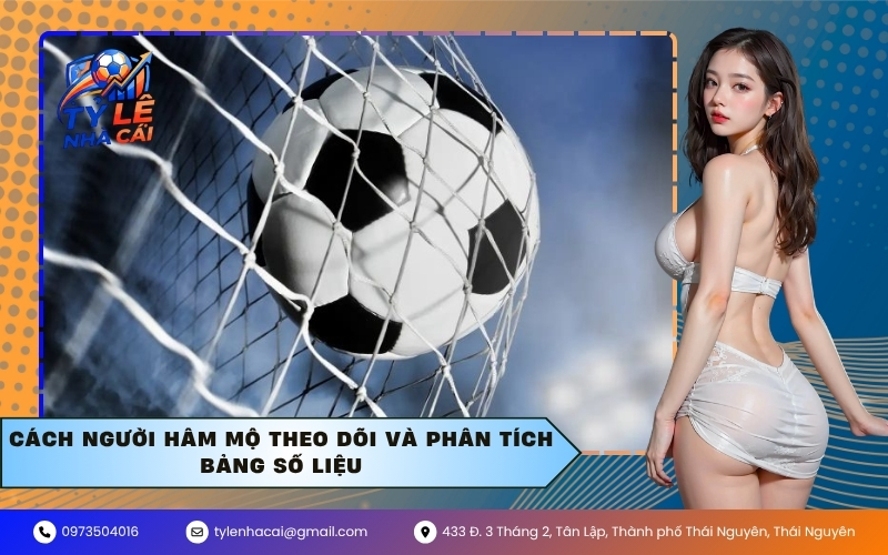 Cách người hâm mộ theo dõi và phân tích bảng số liệu