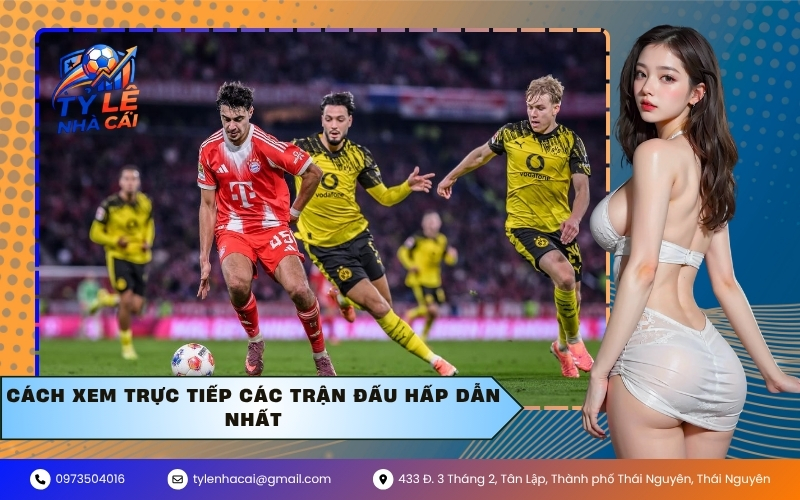 Cách xem trực tiếp các trận đấu hấp dẫn nhất