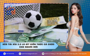 Kèo Tài Xỉu 2.5 là gì? Kiến thức cá cược cho người mới