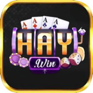 haywin logo