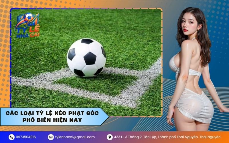 Các loại tỷ lệ kèo phạt góc phổ biến hiện nay
